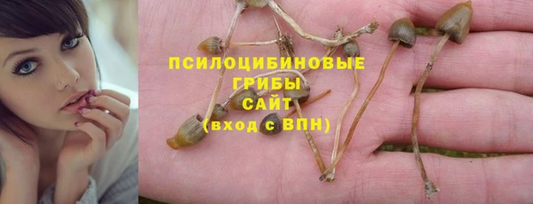 соль ск Володарск